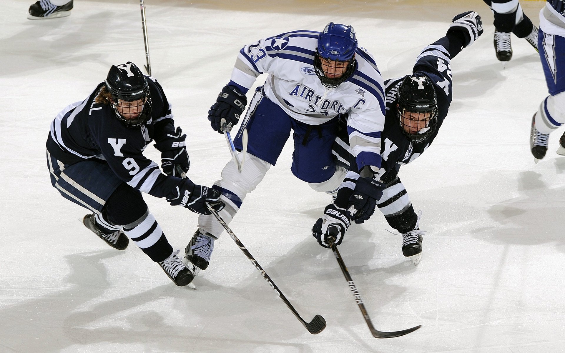 《电竞投诉与仲裁体系:维护公平公正的行业标准》,电竞法律纠纷